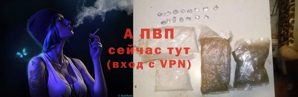 спиды Козельск