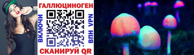наркошоп  Константиновск  Псилоцибиновые грибы Psilocybe 